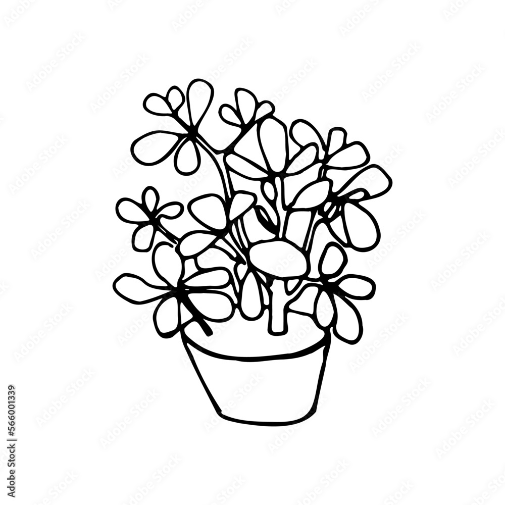 contour tattoo coloring pot of flowers greenery plant landscaping landscape design landscaping decoration living plant botany contour tattoo coloring pot of flowers greenery plant landscaping landscape design landscaping decoration living plant botany