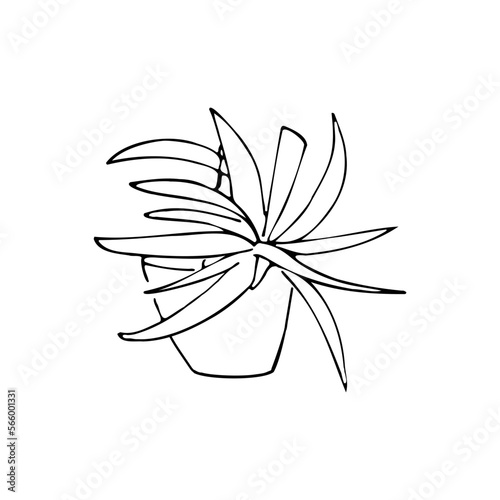contour tattoo coloring pot of flowers greenery plant landscaping landscape design landscaping decoration living plant botany