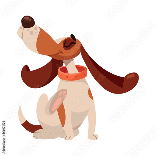 Funny Dog with Spotted Coat and Collar Sitting and Scratching with His Leg Vector Illustration