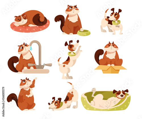 Funny Dogs and Cats as Domestic Pets Engaged in Different Activity Vector Set