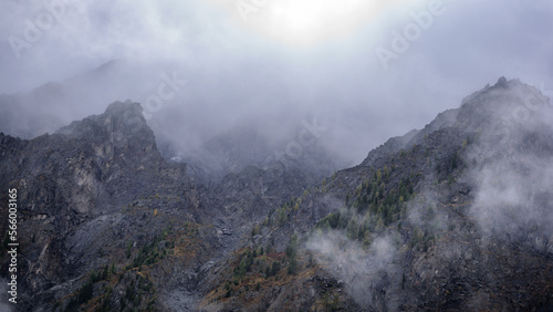 Fog with snow and clouds moves to stone mountains with spruce trees and forest on steep rocks after rain in Altai in summer. © Дмитрий Седаков