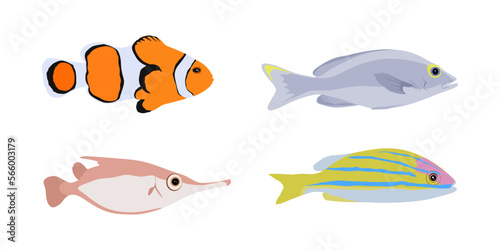 Set of fishes in flat style. Illustration of isolated fishes Clownfish, Snipefish, Bluestripe Snapper. Fish isolated on white. vector illustration