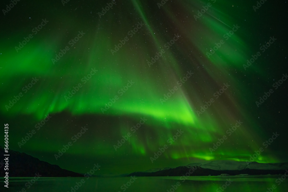 Aurora borealis over mountains in Greenland fjord