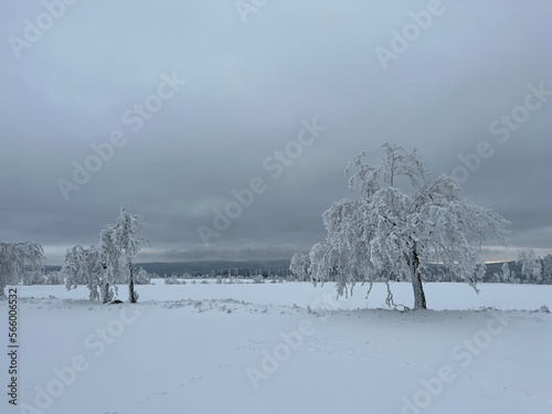 Winter im Erzgebirge bei Annaberg / Grumbach photo