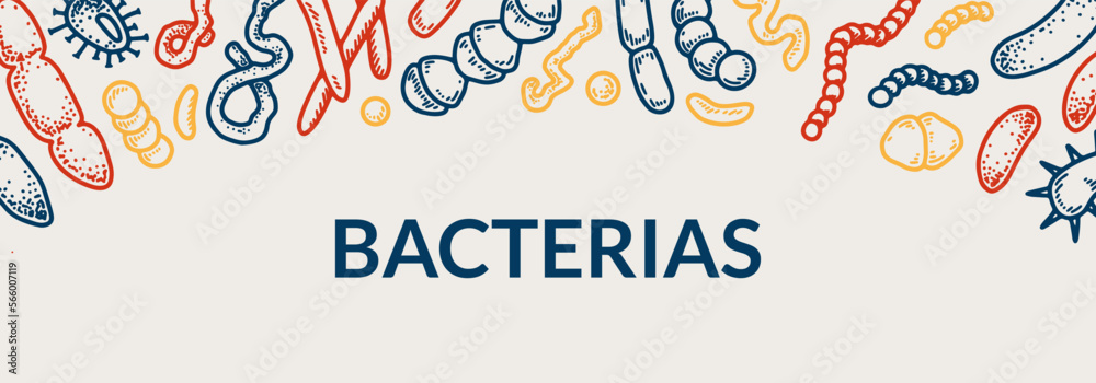 Fototapeta premium Bacteria horizontal design. Hand drawn vector illustration in sketch style