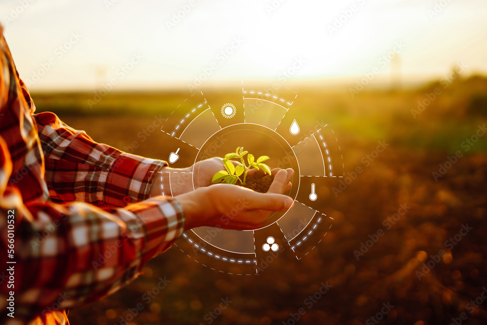 Ταπετσαρία Hand of expert farmer collect soil and checking soil health before growth a seed of vegetable
