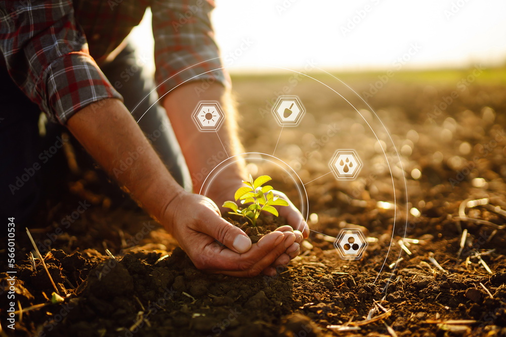 Ταπετσαρία Hand of expert farmer collect soil and checking soil health before growth a seed of vegetable