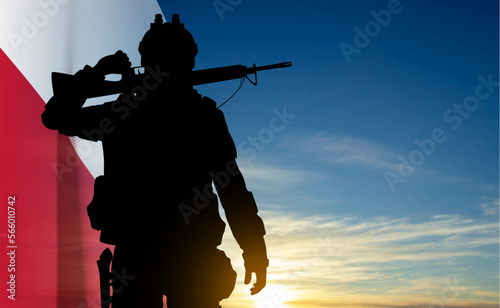 Silhouette of soldier with Polish flag on background of sunset. Armed Forces of the Republic of Poland. EPS10 vector