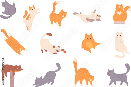 Cat behavior. Feline poses  cartoon cats characters funny emotions  afraid orange kitten scared animal pet cautiously pose and body language  happy playful pets vector illustration