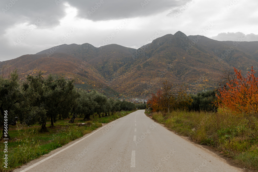 Naklejka premium the road to the village in the countryside , road photo taken from ground level mountain in background