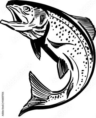 vector illustration silhouette of a trout fish
