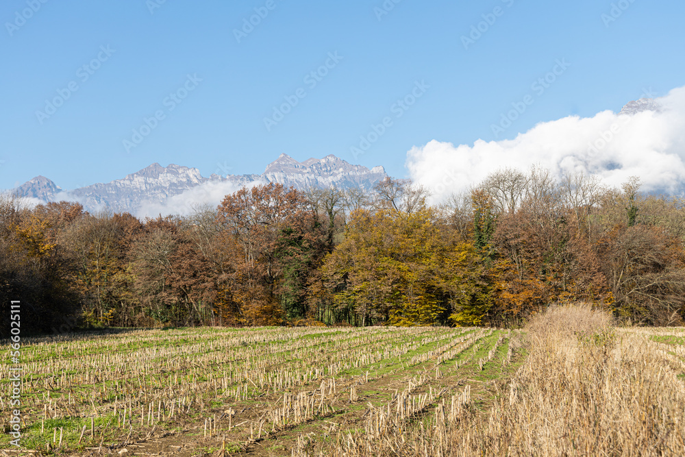 A rural view with mountains and trees in autumn morning A rural view with mountains and trees in autumn morning