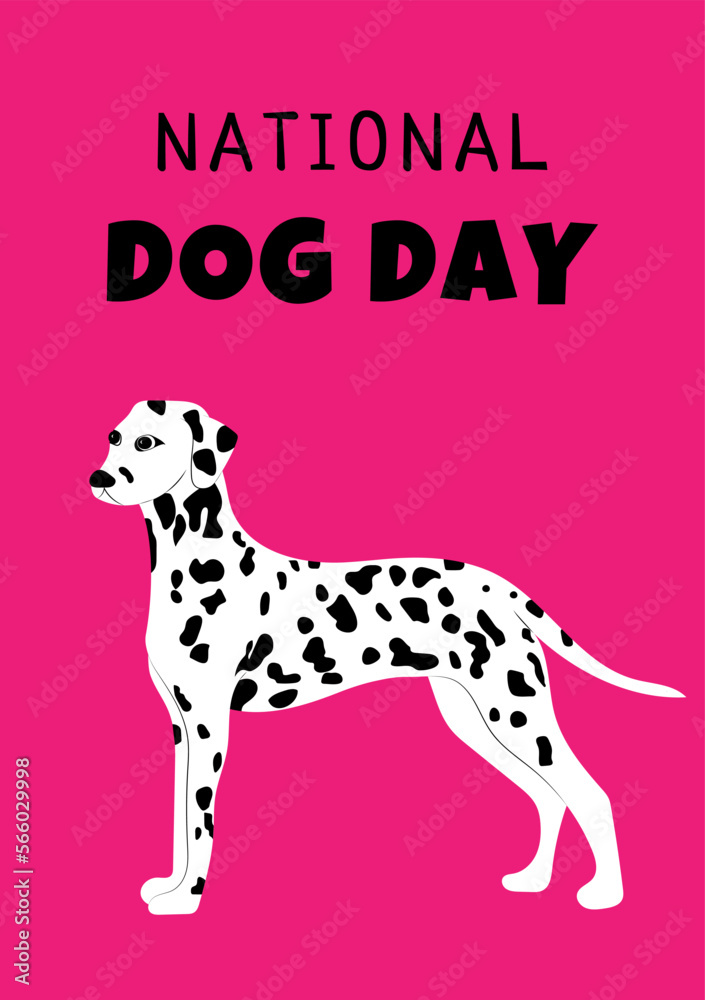 Happy national Dog day greeting card vector design. Dalmatin dog on pink background.