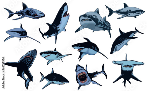 Vector set of blue sharks on white isolated, color illustration,underwater marine life