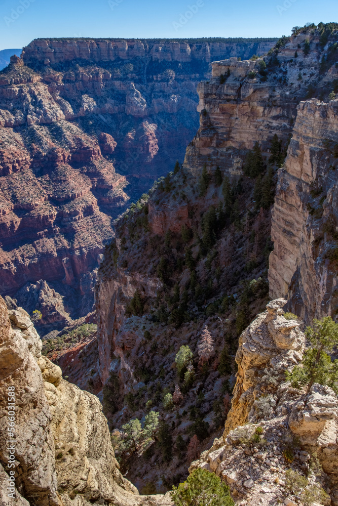 Grand Canyon17