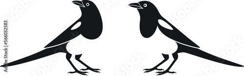 Magpie logo. Isolated magpie on white background