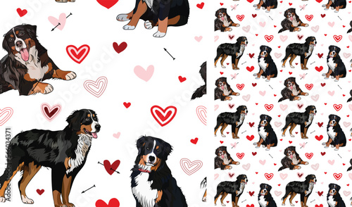 Bernese Mountain dog Valentine's day heart wallpaper. Love doodles hearts with pets holiday texture. square background, repeatable pattern. St Valentine's day wallpaper, valentine present, print tiles