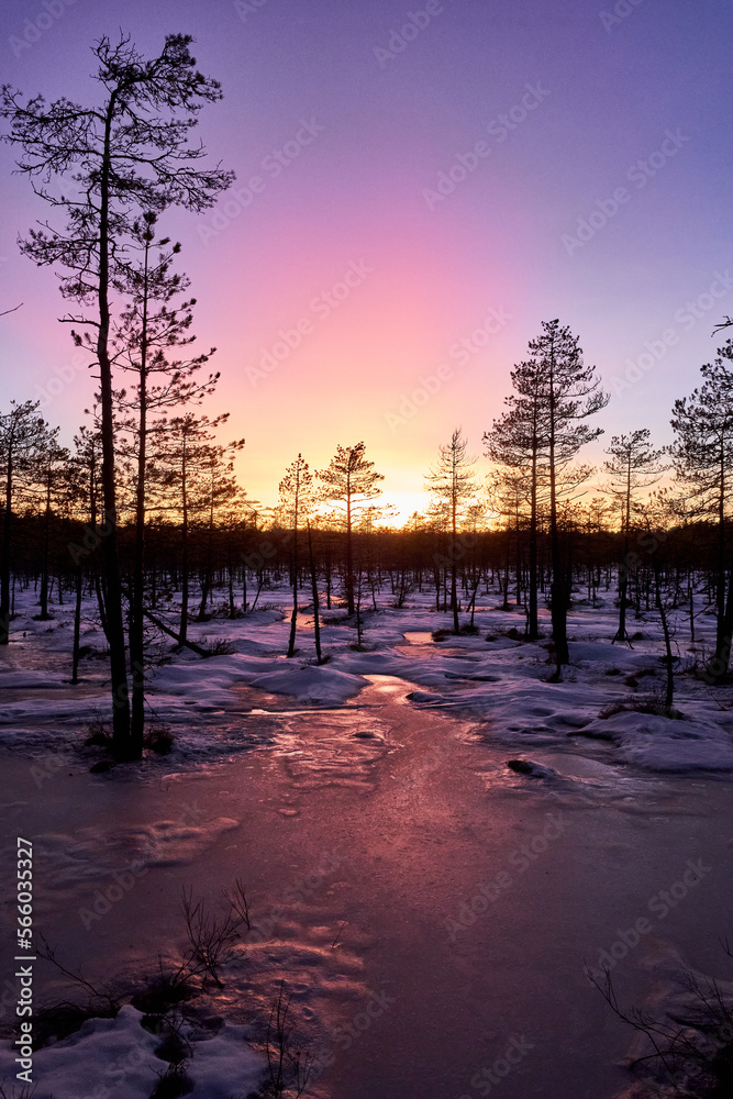 Sunset colors in winter evening