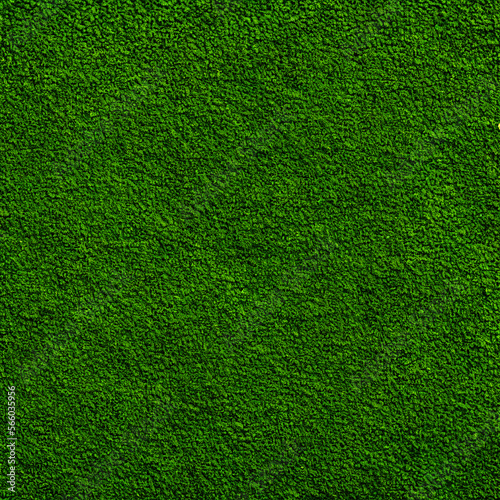 High-Resolution Image of Green Moss Texture Background, Showcasing the Natural Beauty and Textural Detail of Moss, Perfect for Adding a Fresh and Organic Element to Any Design Project