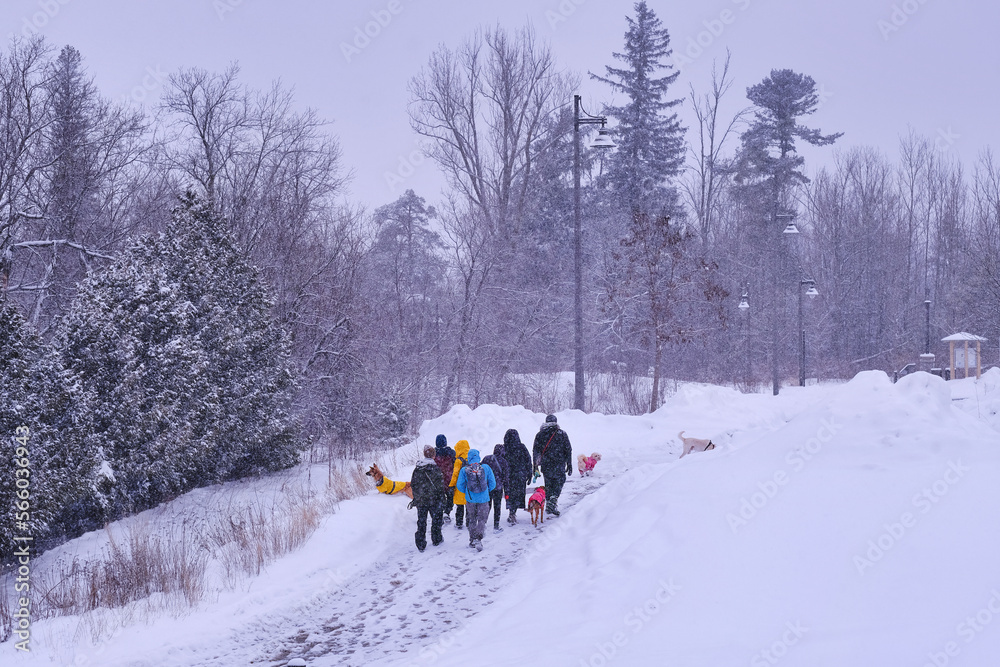 Group of people hiking and walking with pet dogs at park in snow. Winter healthy activity concept background.