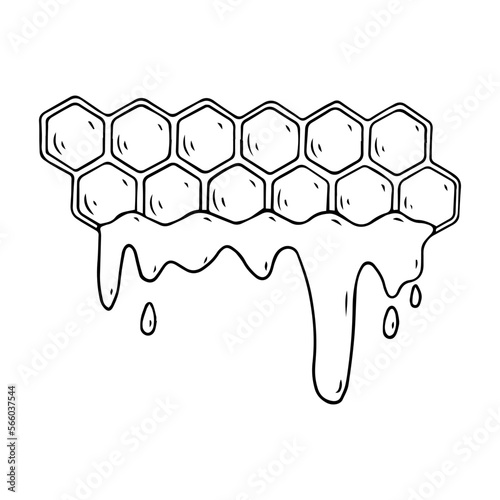 Linear sketch of honeycomb with honey.Vector graphics.