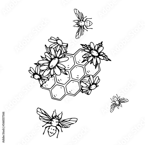Honeycomb sketch with bees and wild flowers.Vector graphics.