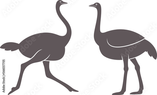 Ostrich logo. Isolated ostrich on white background