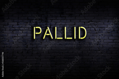 Φωτογραφία Night view of neon sign on brick wall with inscription pallid