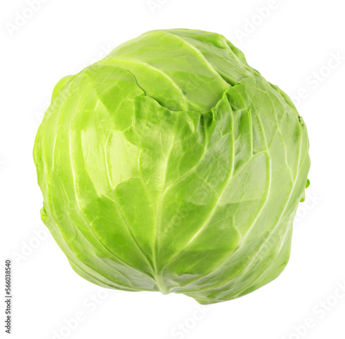 Leinwand Poster green cabbage