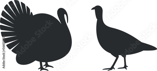 Turkey silhouette. Isolated turkey on white background. Bird
