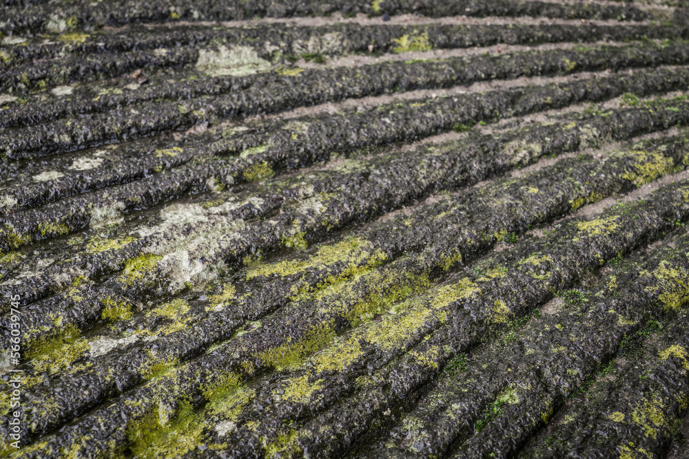 grooves of a historic milling stone grooves of a historic milling stone
