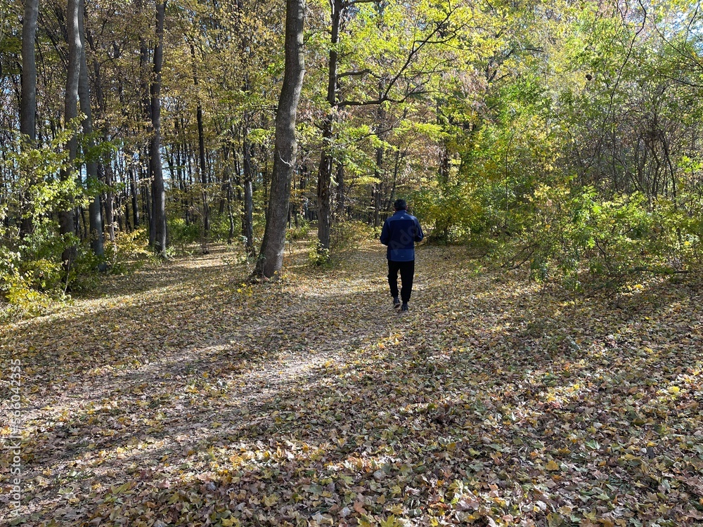 Fototapeta premium person walking in the park