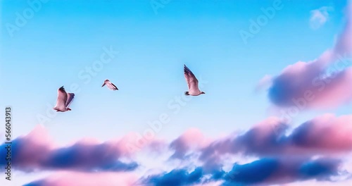 seagulls in the cotton candy colored sky animation generative ai