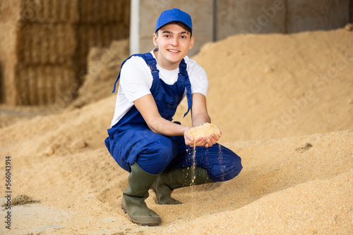 Positive young female farmer in overalls squatting on heaps with handful of feed calf soybean husk in hands in farm storage
