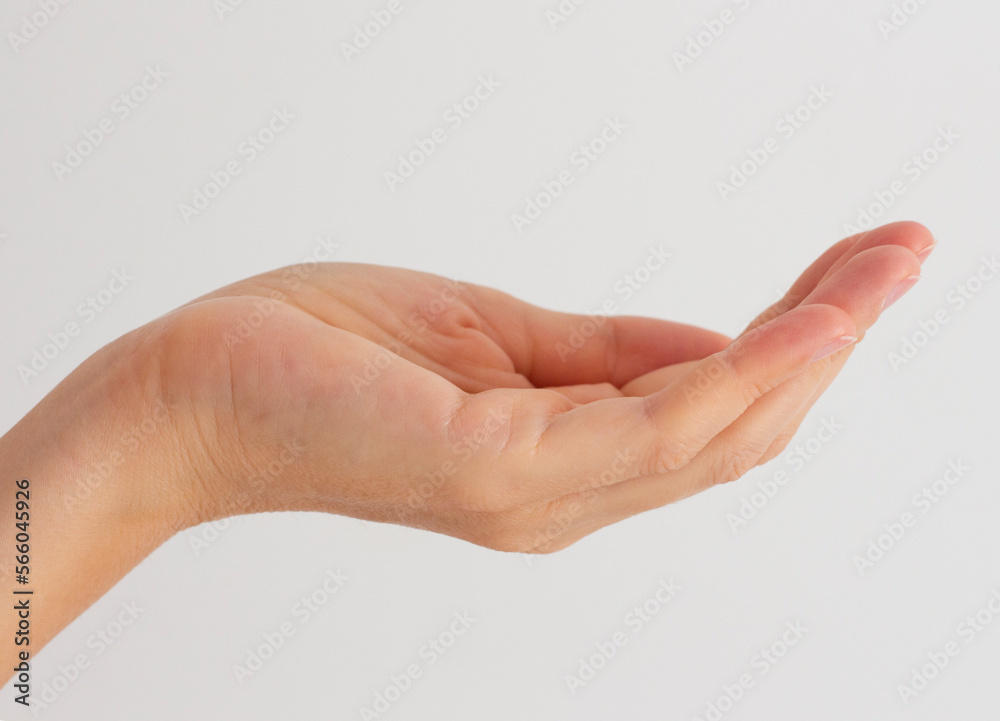 Female hand palm. Gesture to ask or give. Body skin care, cosmetics. Beauty and health. Template with empty space. Photo closeup