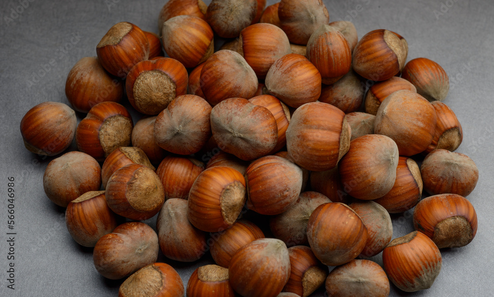 beautiful hazelnuts on a gray background close-up beautiful hazelnuts on a gray background close-up