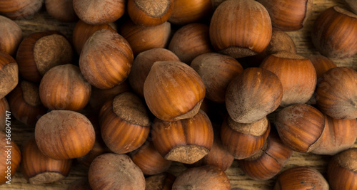 beautiful hazelnuts on a wooden background close-up