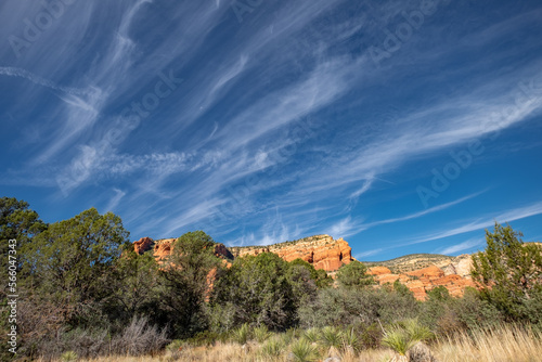Fay Canyon, Sedona AZ 4