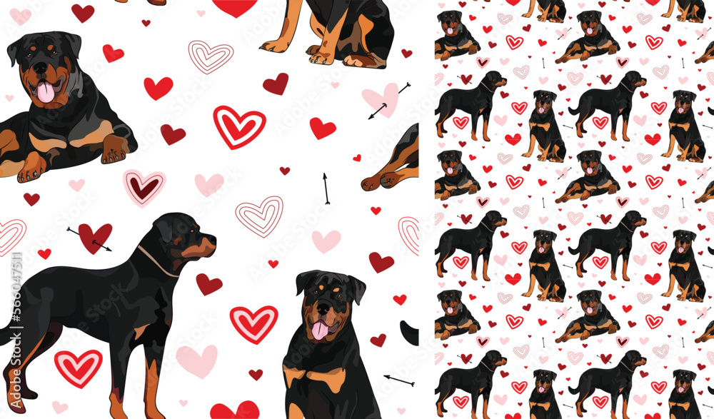 Fun Rottweiler dog Valentine's day heart wallpaper. Love doodles hearts with pets holiday texture. square background, repeatable pattern. St Valentine's day wallpaper, valentine present, print tiles.