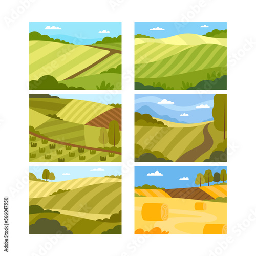 Country View with Sown Field and Pasture Land as Green Landscape Vector Set