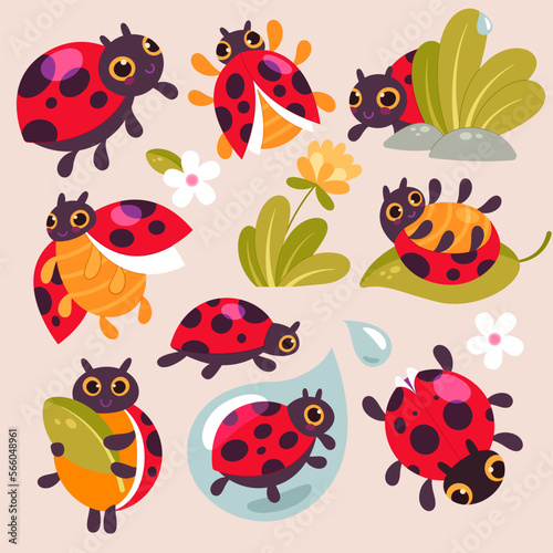 Funny Ladybirds or Wildlife Insects. Cute Ladybirds Set