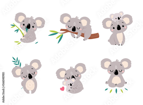Koala Bear as Australian Animal on Eucalyptus Branch and with Baby Vector Set