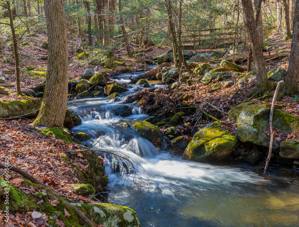 Waterfall near a wooden bridge in the forest