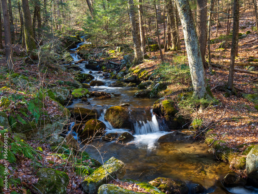 Small waterfalls in Ring Brook