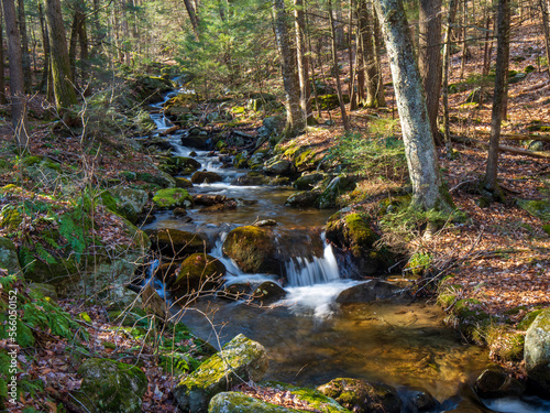 Small waterfalls in Ring Brook