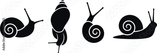 Grape snail logo. Isolated grape snail on white background photo
