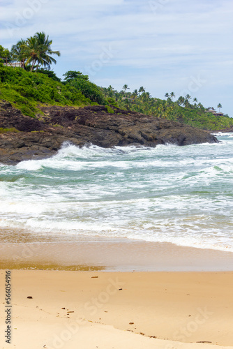 Fototapeta Naklejka Na Ścianę i Meble -  Vegetation, sand and waves at Praia da Costa beach