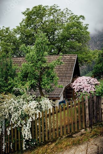 Alpen