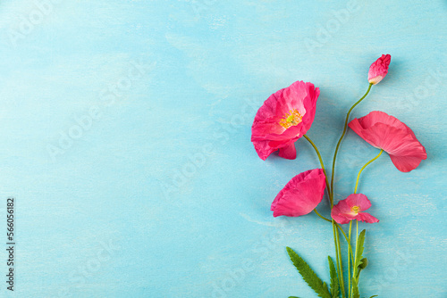Pink poppy flowers bouquet on pastel blue background. Wedding card. Flat lay. Layout. Top view