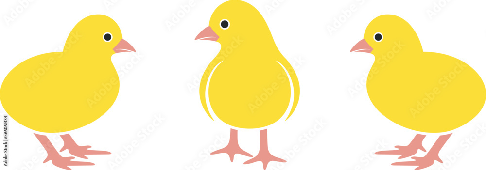 Chicken logo. Isolated  chicken on white background